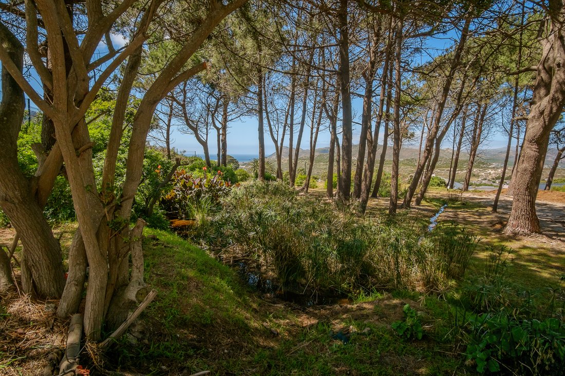 Country House in Crofters Valley, Cape Town, Western Cape 2 - 17522811