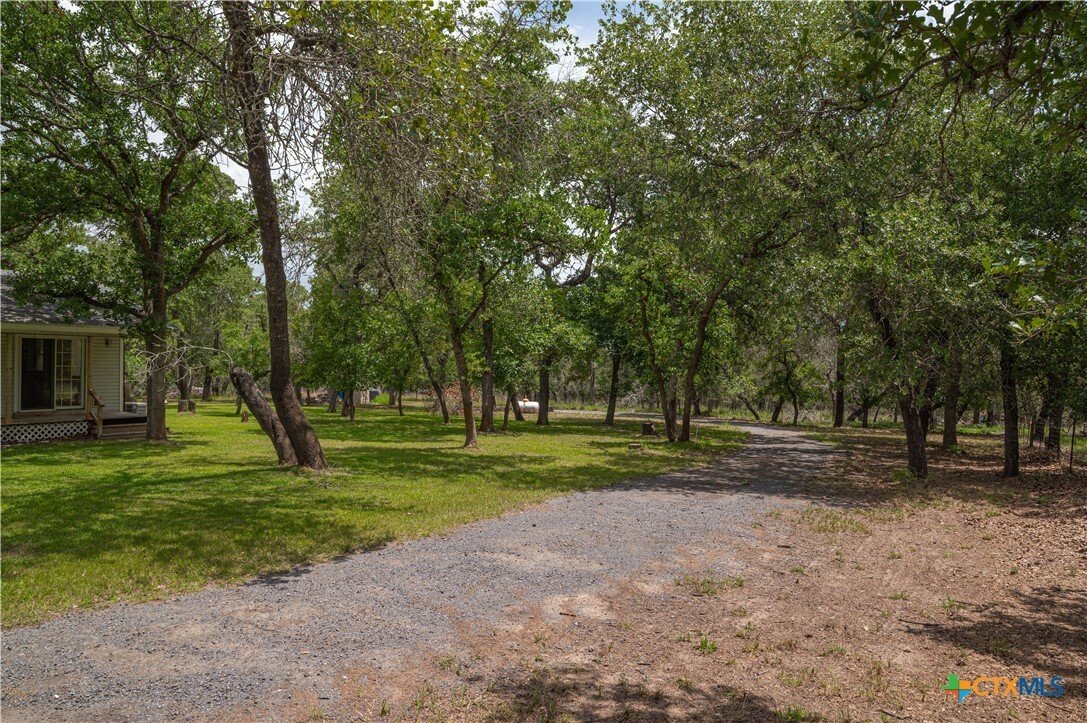 House in Seguin, Texas, United States 4 - 17519469
