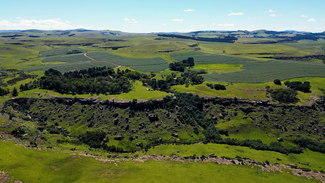 Farm Ranch in Nqanqarhu, Eastern Cape, South Africa 5 - 17522943