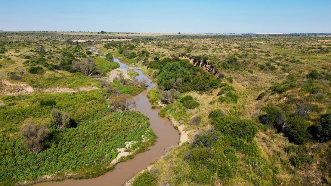 Farm Ranch in Welkom, Free State, South Africa 1 - 17522953