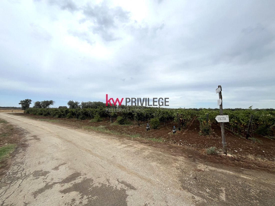 Farm Ranch in San Donaci, Apulia, Italy 5 - 17523553
