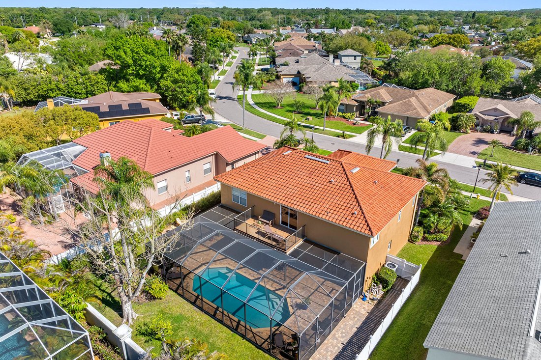 House in Palm Harbor, Florida, United States 4 - 17521284