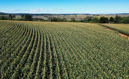 Farm Ranch in Nqanqarhu, Eastern Cape, South Africa 1