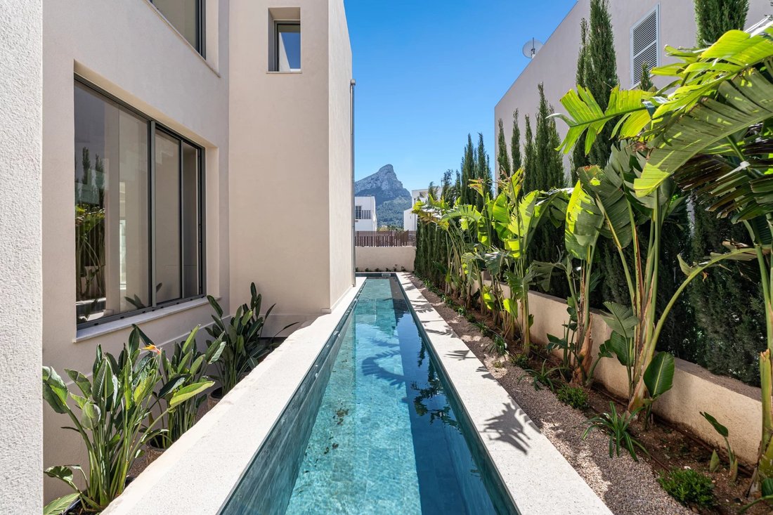 Villa in Colonia de Sant Pere, Arta, Balearic Islands 3 - 16629533