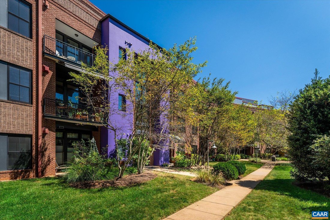Condo in Charlottesville, Virginia, United States 3 - 17519082