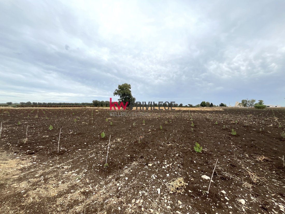 Farm Ranch in San Donaci, Apulia, Italy 4 - 17523553