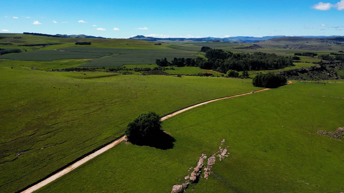Farm Ranch in Nqanqarhu, Eastern Cape, South Africa 2 - 17522943