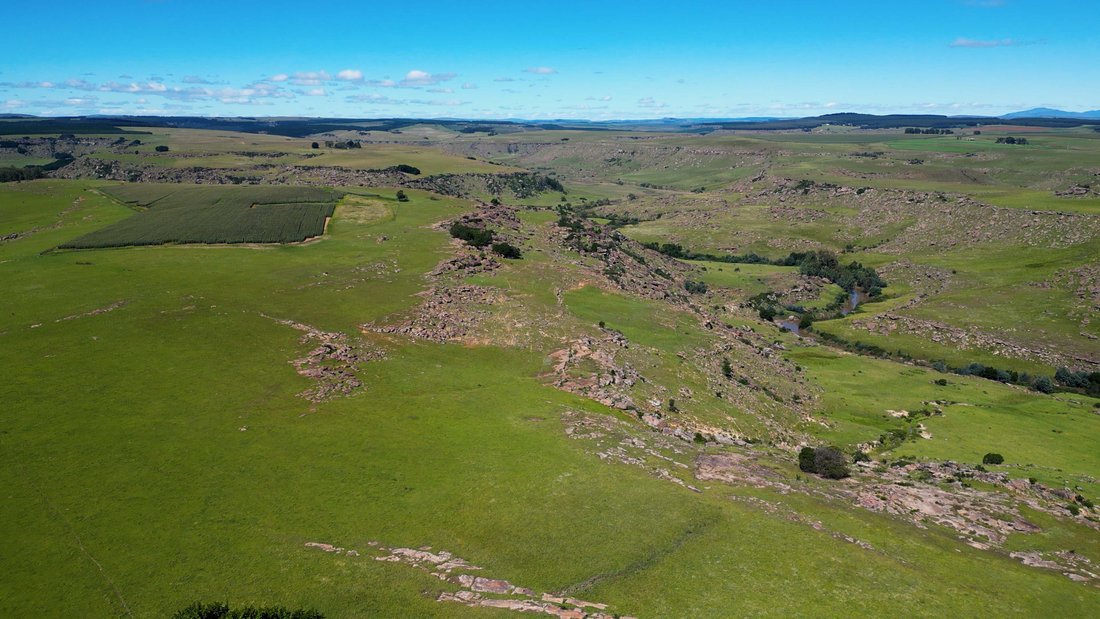 Farm Ranch in Nqanqarhu, Eastern Cape, South Africa 3 - 17522943