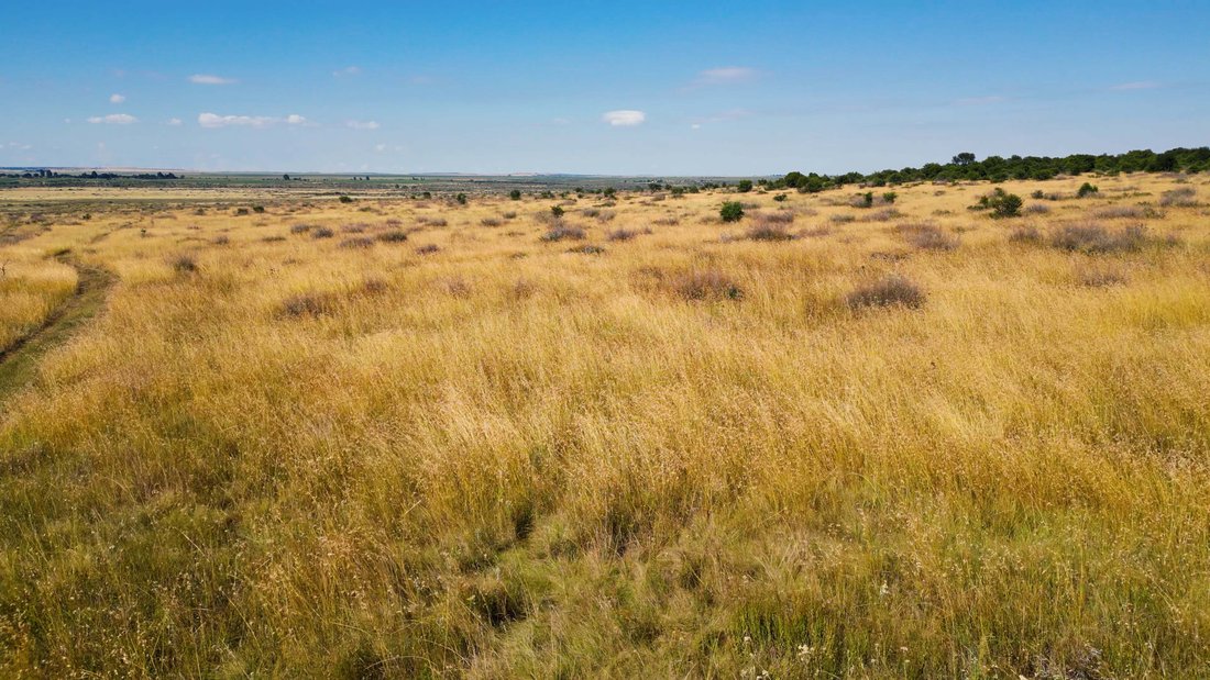 Farm Ranch in Welkom, Free State, South Africa 2 - 17522953
