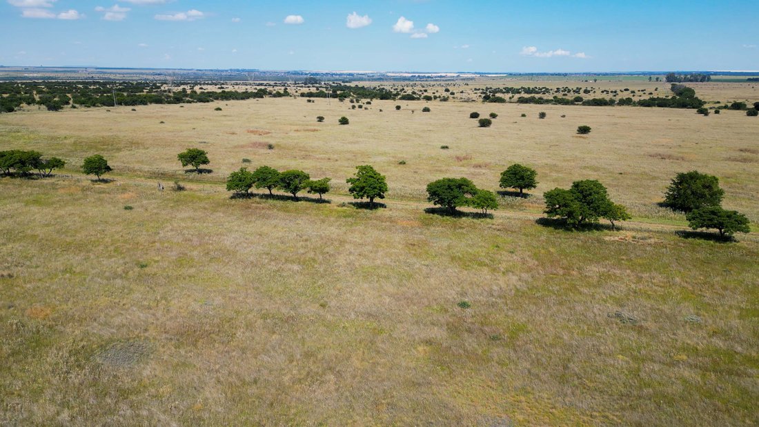 Farm Ranch in Welkom, Free State, South Africa 4 - 17522953