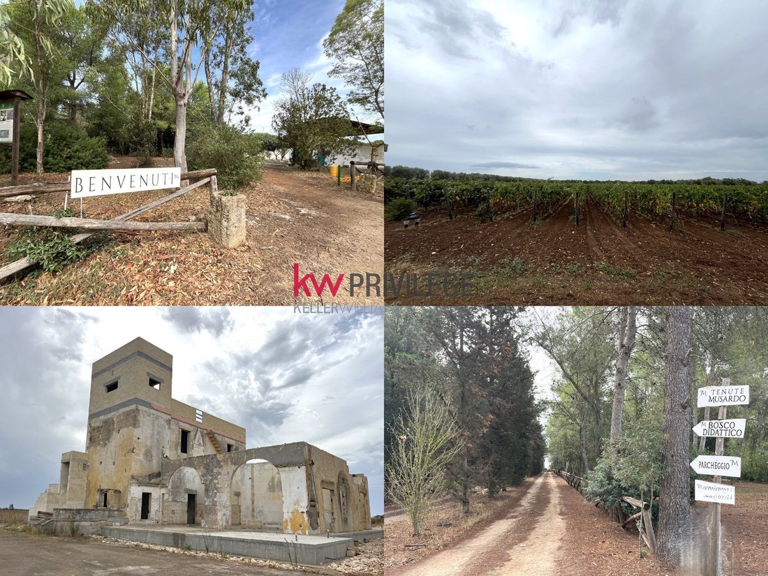 Farm Ranch in San Donaci, Apulia, Italy 1 - 17523553