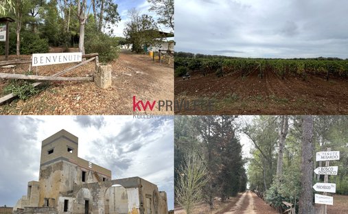 Corps de ferme à San Donaci, Pouilles, Italie 1