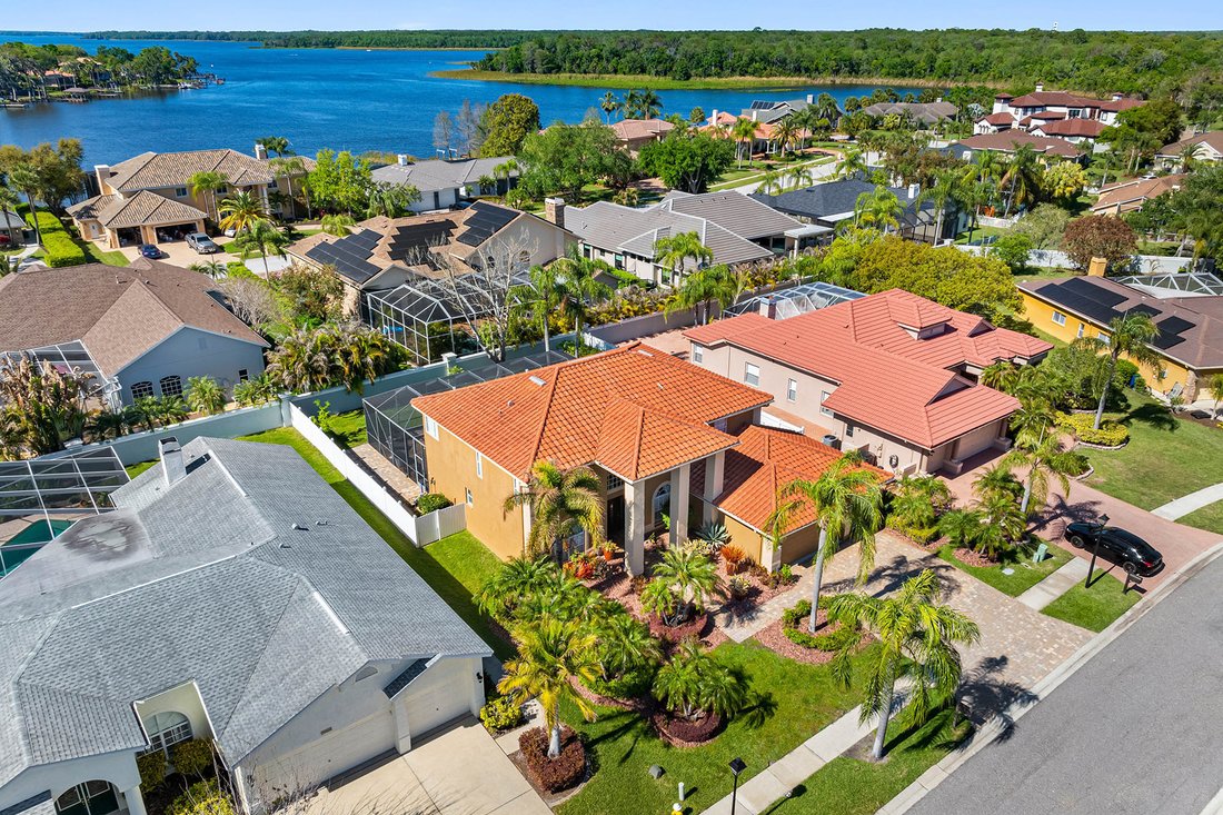 House in Palm Harbor, Florida, United States 3 - 17521284