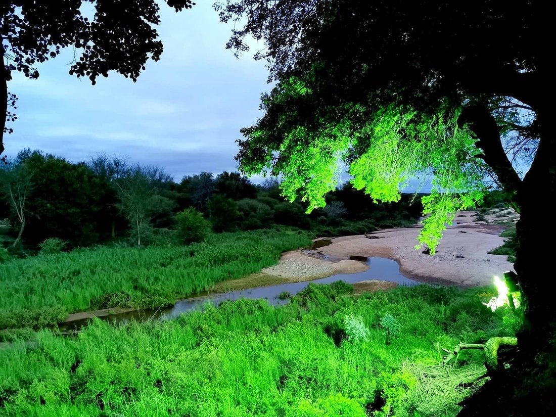 Farm Ranch in Musina, Limpopo, South Africa 5 - 17522907