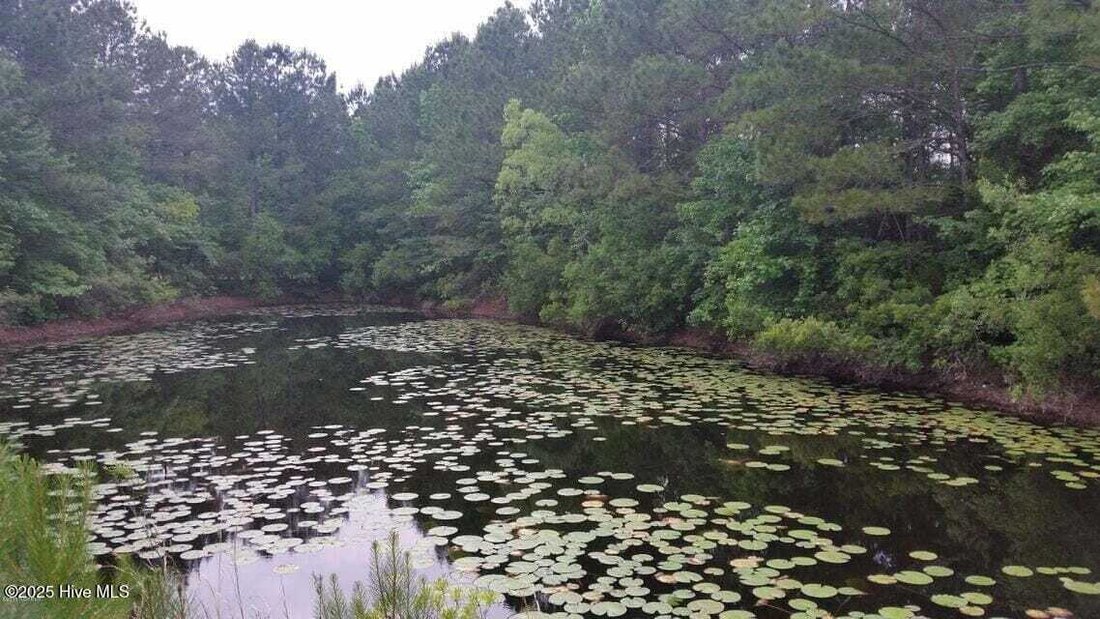 Land in Wilmington, North Carolina, United States 3 - 17525311