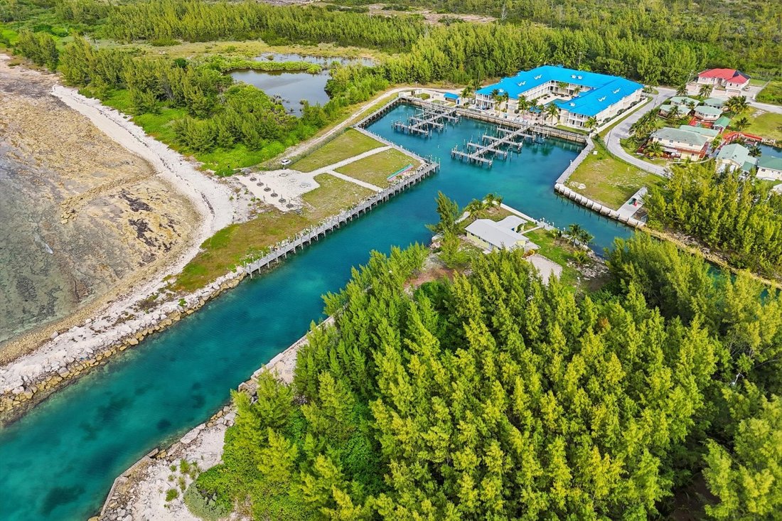 Condo in Grand, West Grand Bahama, The Bahamas 1 - 17015881