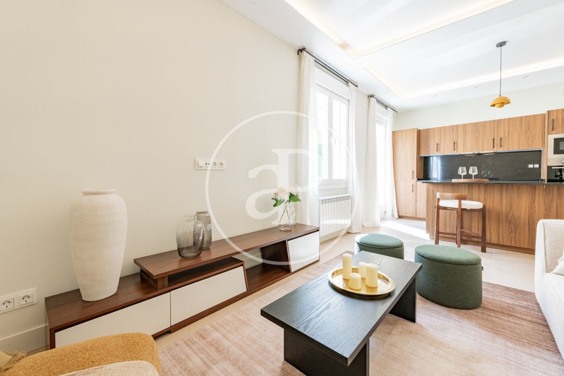 Apartment in Tetuan, Madrid, Spain 1 - 17526477