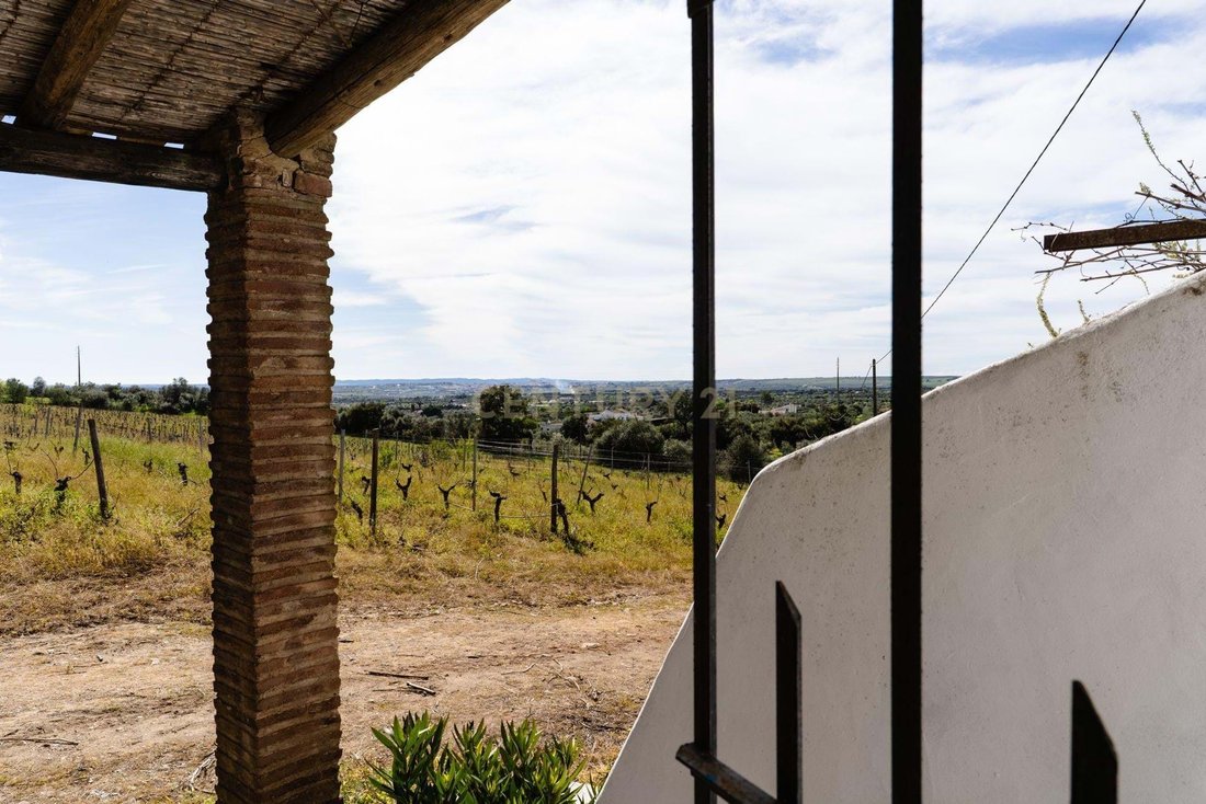 Land in Corval, Évora District, Portugal 5 - 17342732