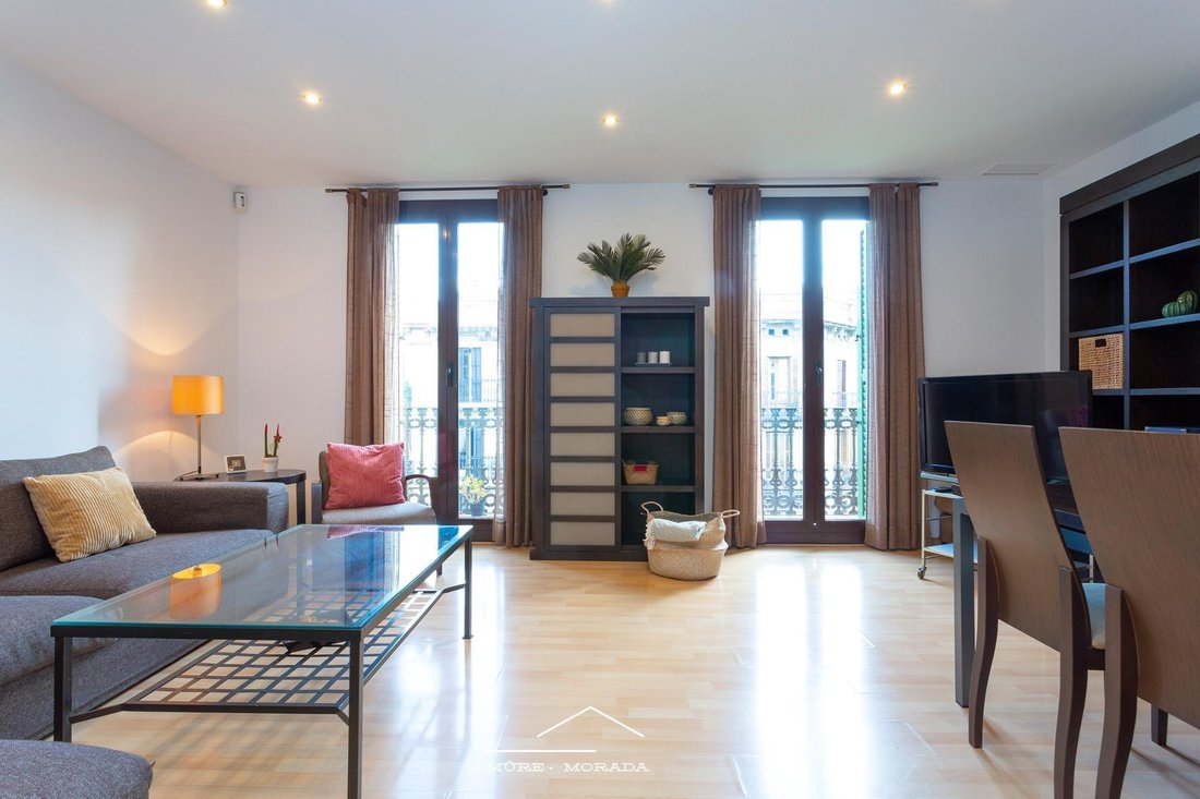 Apartment in Eixample, Barcelona, Spain 1 - 17526479