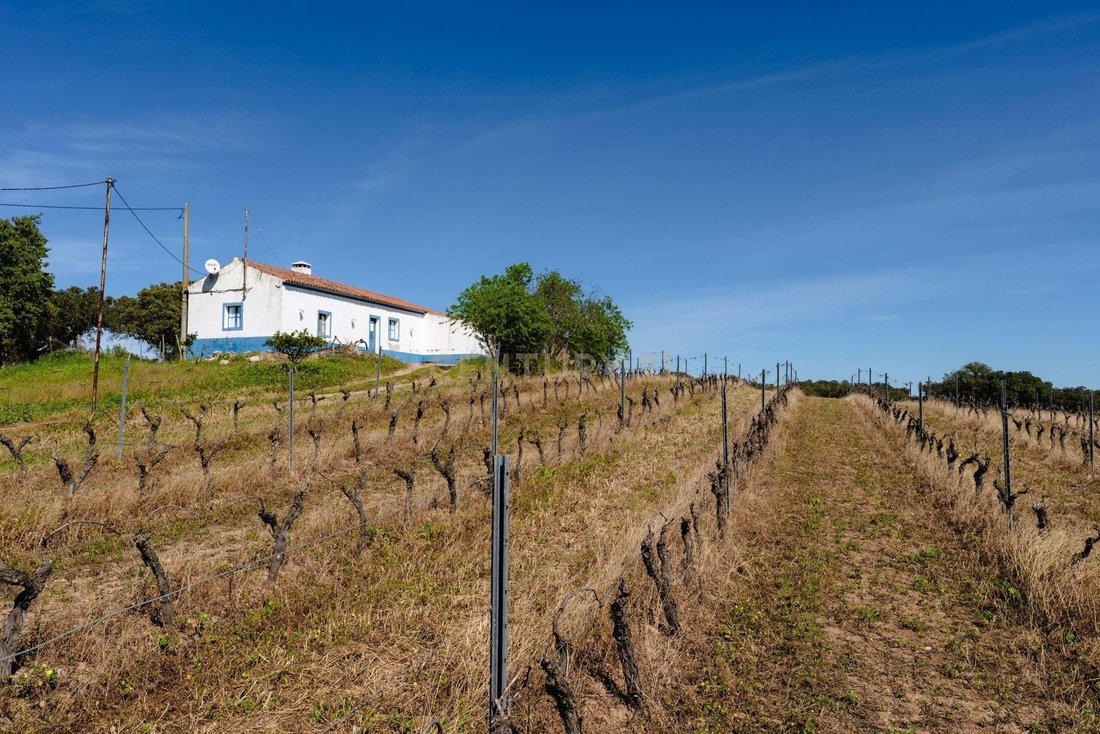 Farm Ranch in Corval, Évora District, Portugal 1 - 17009416