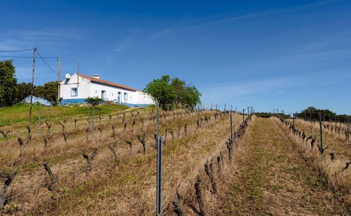 Farm Ranch in Corval, Évora District, Portugal 1