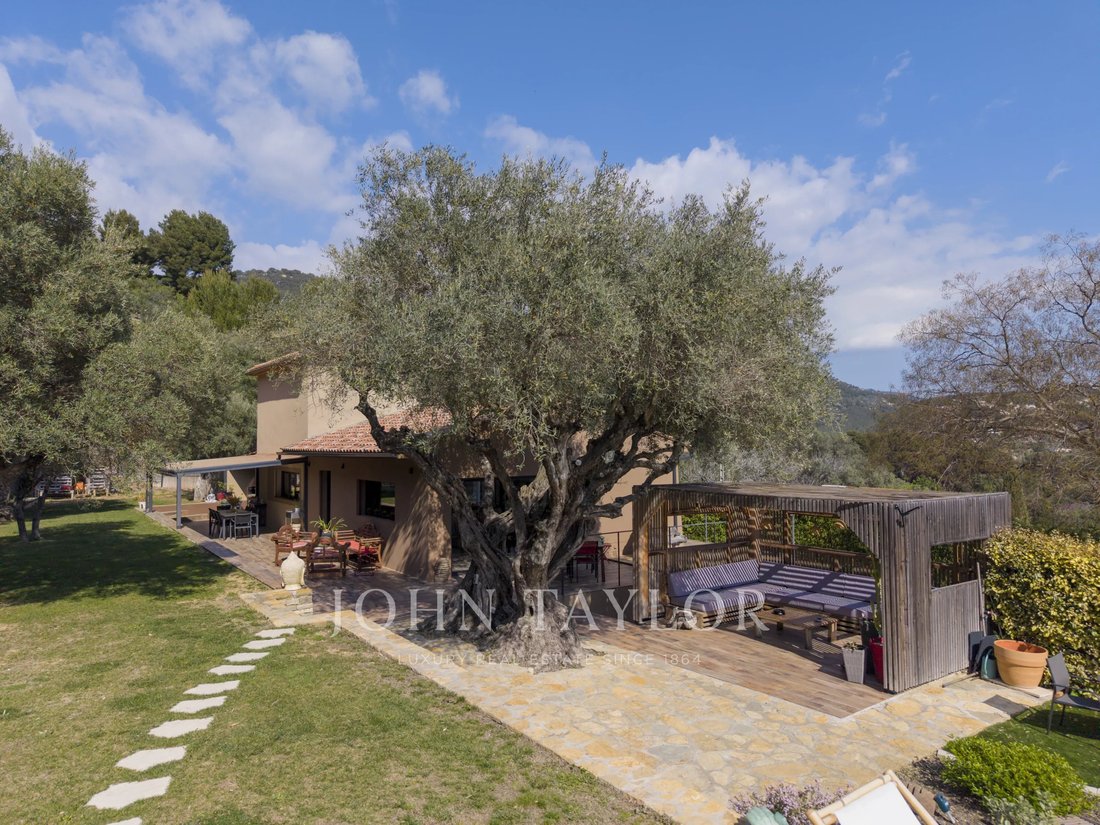 Estate in Nord, Sanary-sur-Mer, France 4 - 17526667