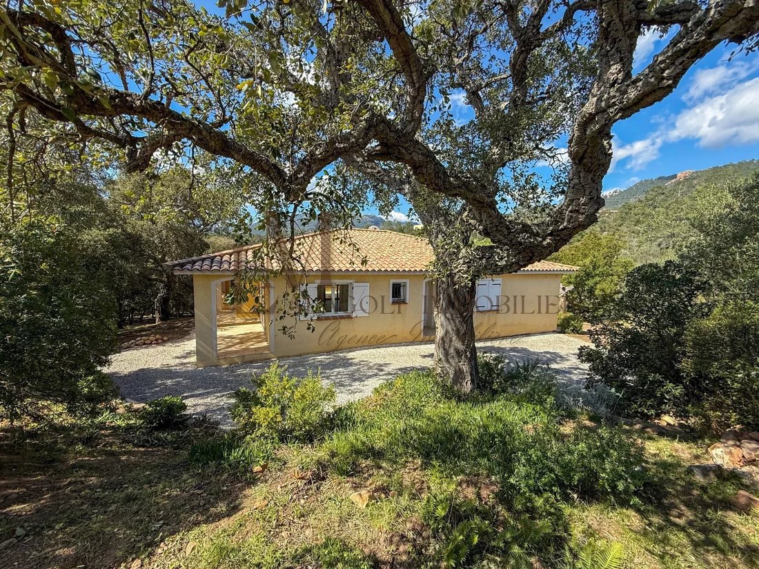 House in Lecci, Corsica, France 4 - 16684909