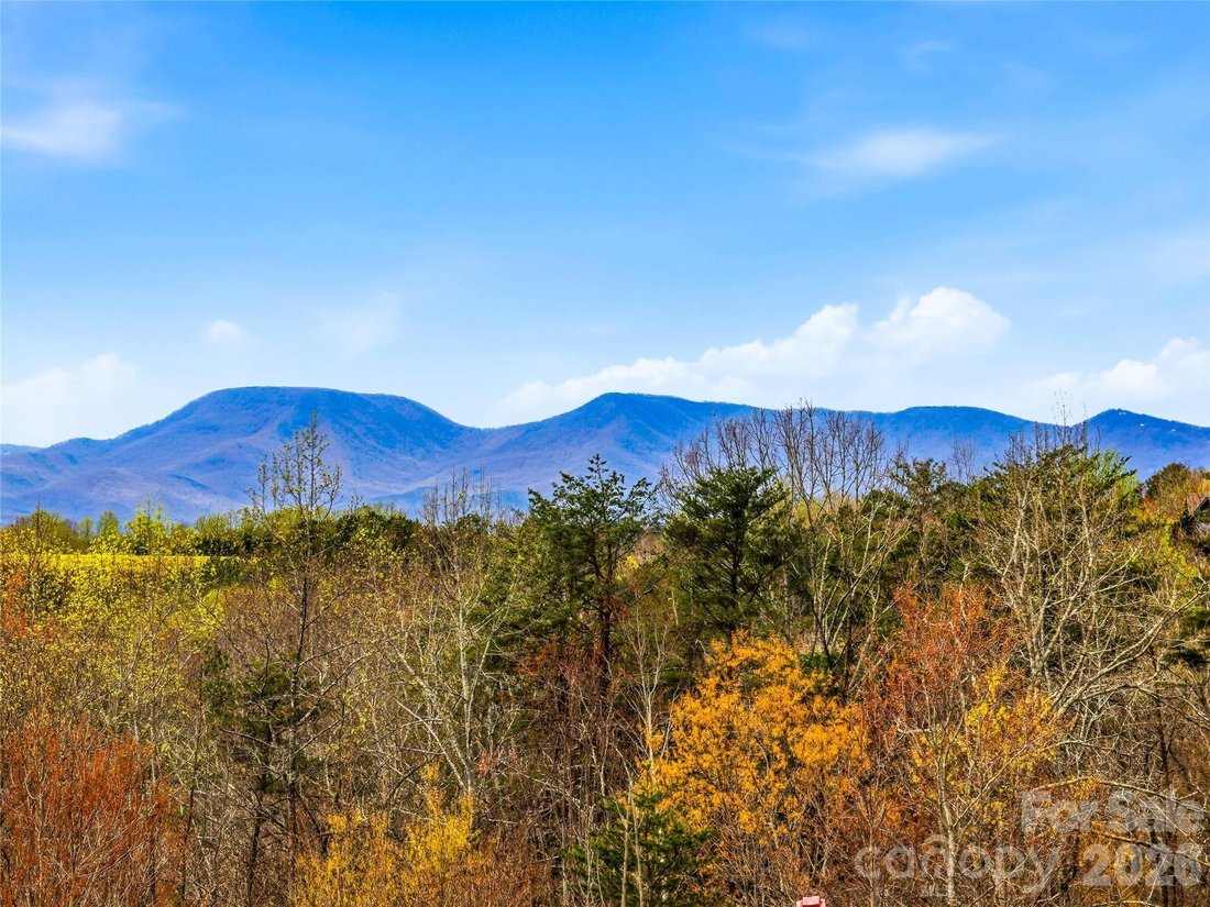 House in Tryon, North Carolina, United States 2 - 17526934