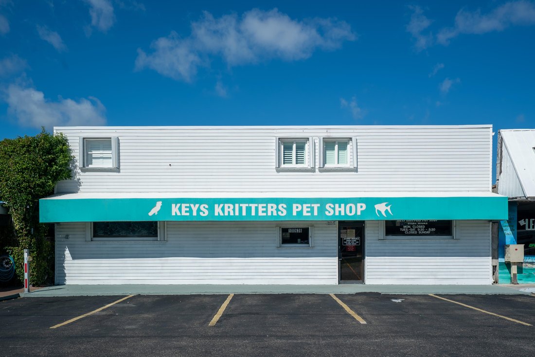 House in Key Largo, Florida, United States 2 - 17527511