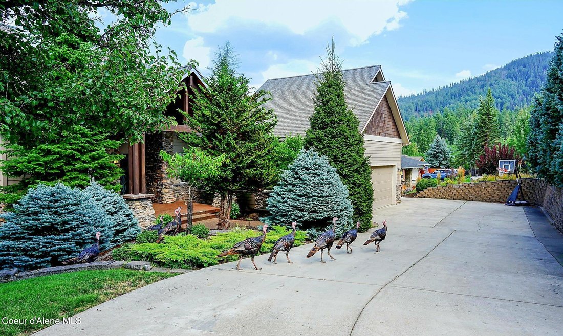 House in Coeur d'Alene, Idaho, United States 4 - 17527261
