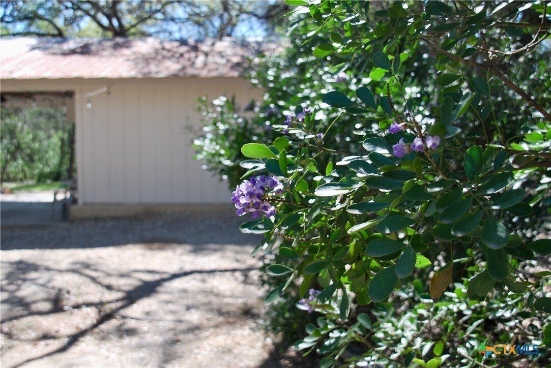 Maison à New Braunfels, Texas, États-Unis 4 - 17527915