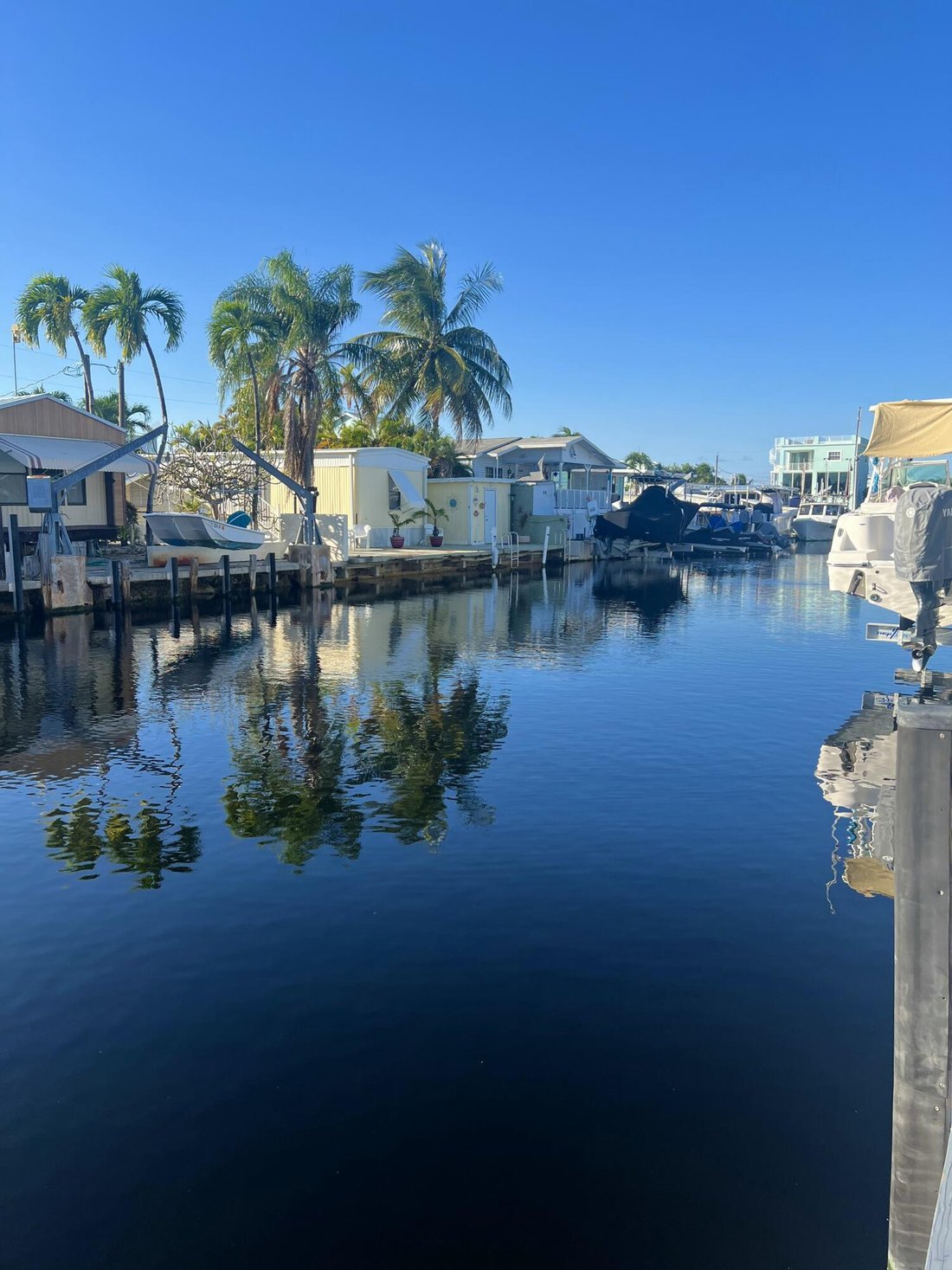 Key Largo, Florida, United States 4 - 17527495