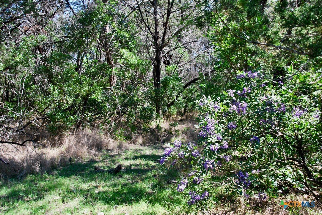 Maison à New Braunfels, Texas, États-Unis 5 - 17527915