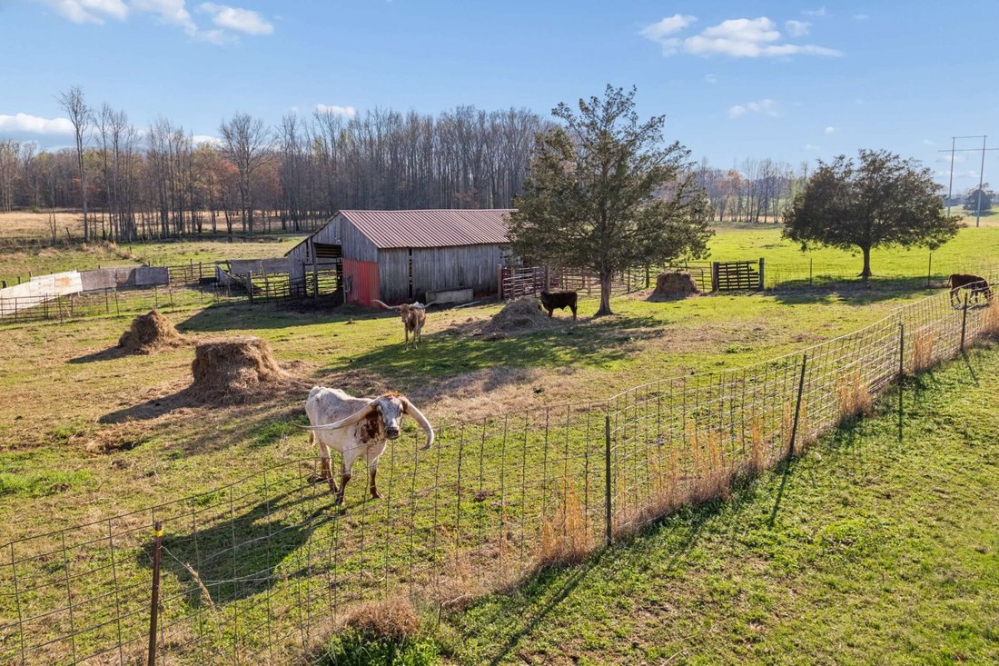 House in Decherd, Tennessee, United States 2 - 17529016