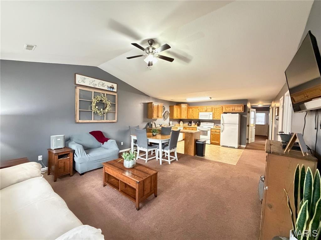 Salem, Missouri, United States 5 - 17528710