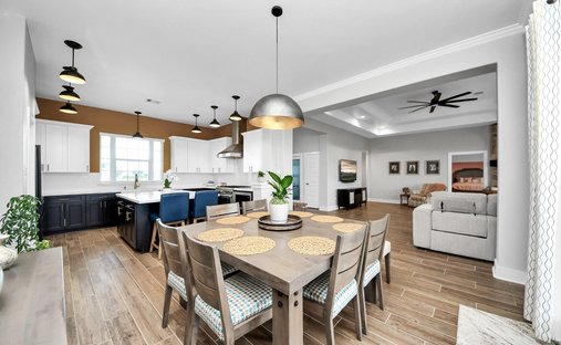 House in Rosharon, Texas, United States 1