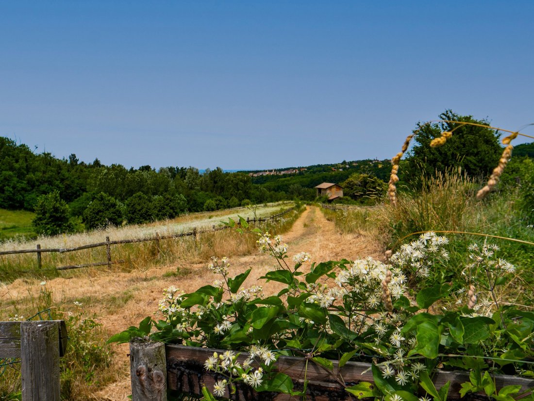 Country House in Carezzano, Piedmont, Italy 3 - 17530062