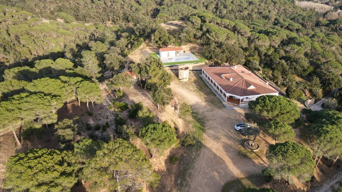 Finca in Tossa de Mar, Catalonia, Spain 1 - 10696065