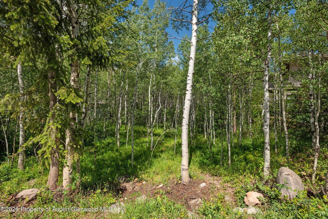 Land in Aspen, Colorado, United States 5 - 17531831