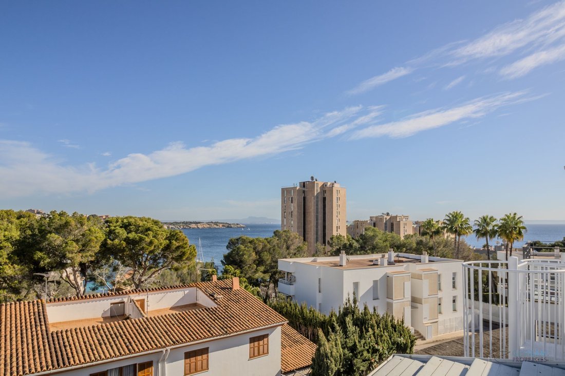 House in Palma, Balearic Islands, Spain 4 - 17531027