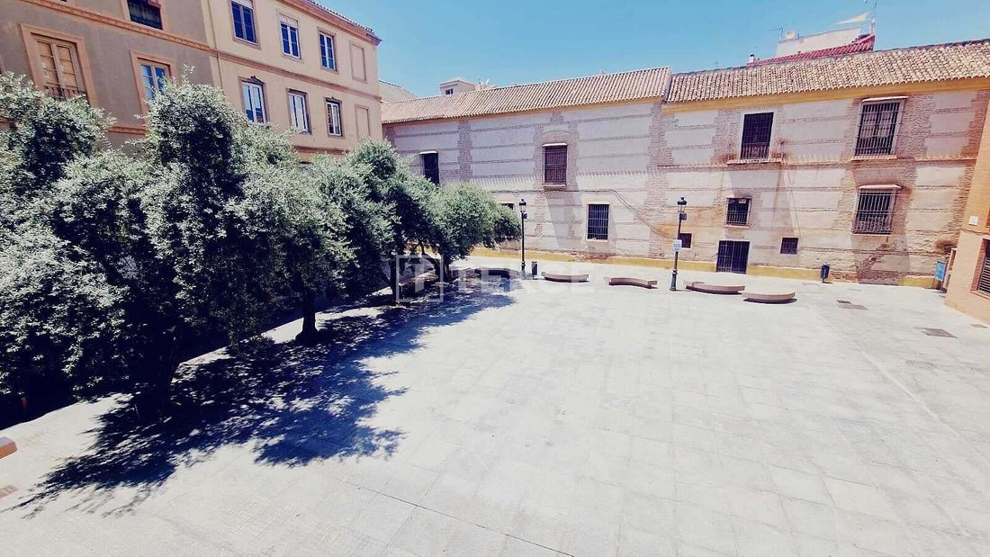 Apartment in Centro, Malaga, Spain 1 - 17533705