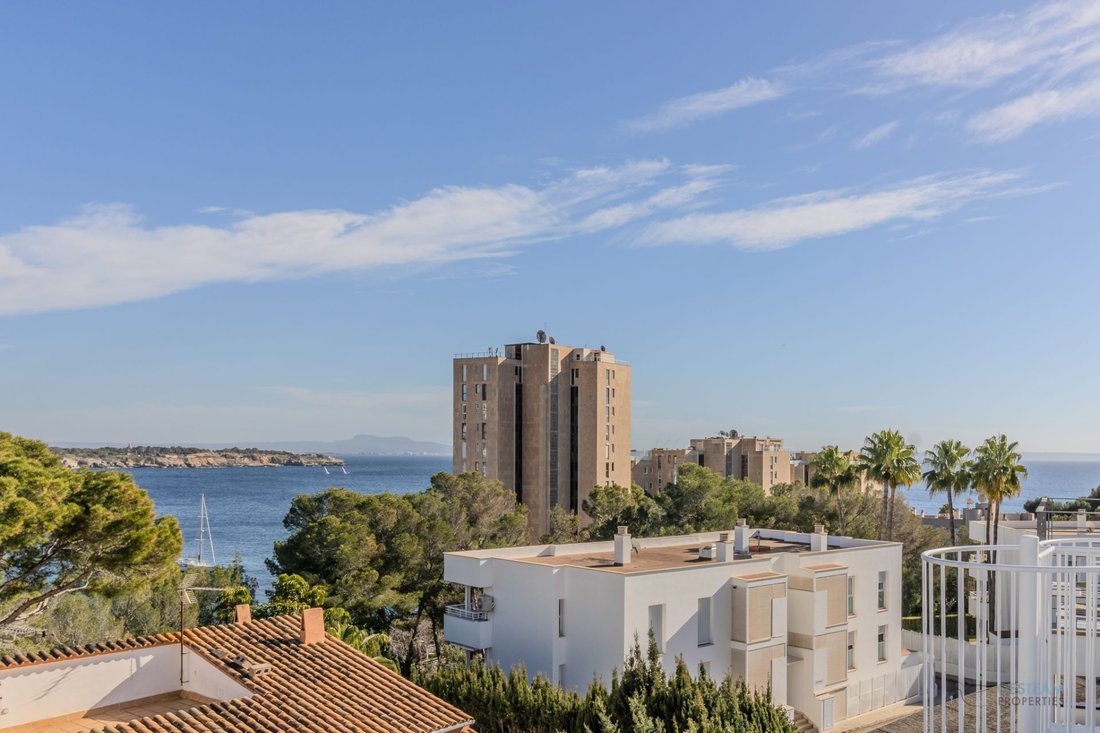 House in Palma, Balearic Islands, Spain 1 - 17531027