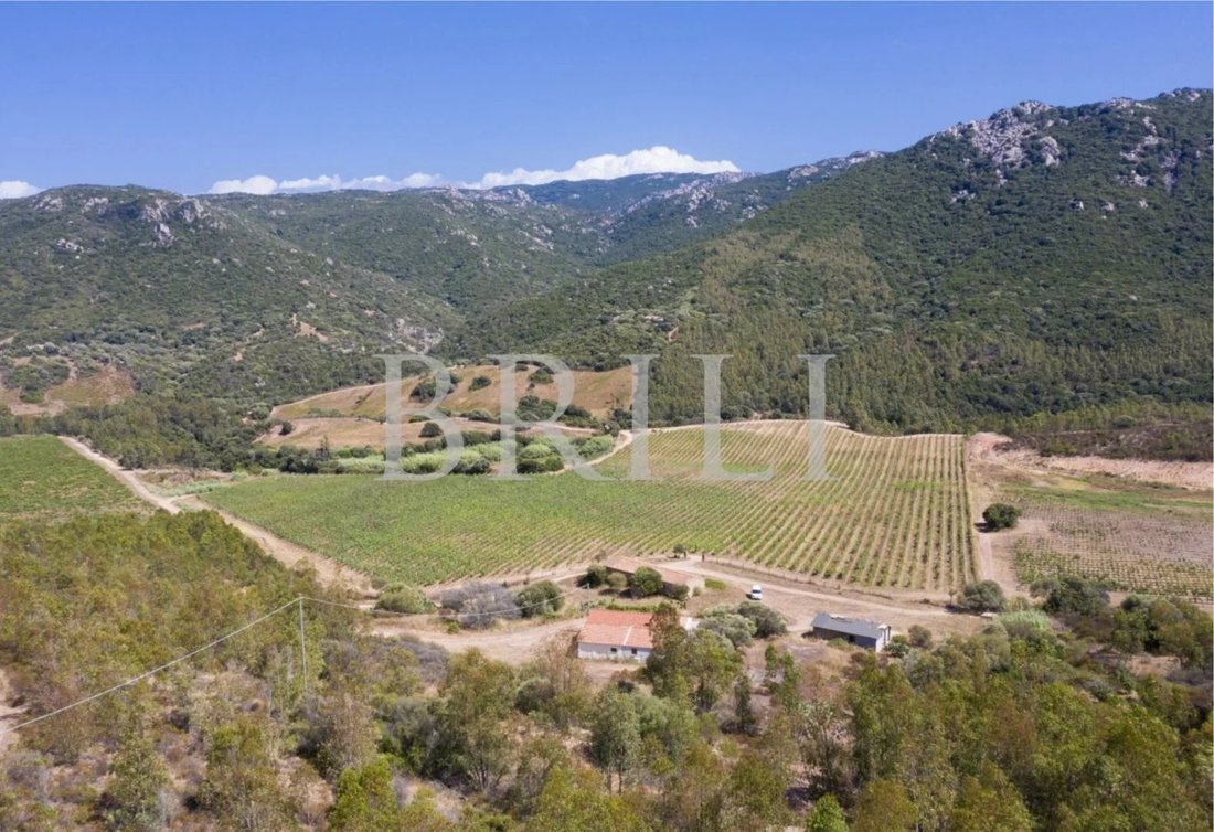 Domaine à Trinità d'Agultu e Vignola, Sardaigne, Italie 1 - 17530747
