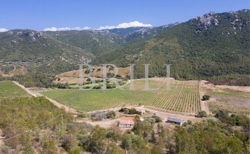 Domaine à Trinità d'Agultu e Vignola, Sardaigne, Italie 1