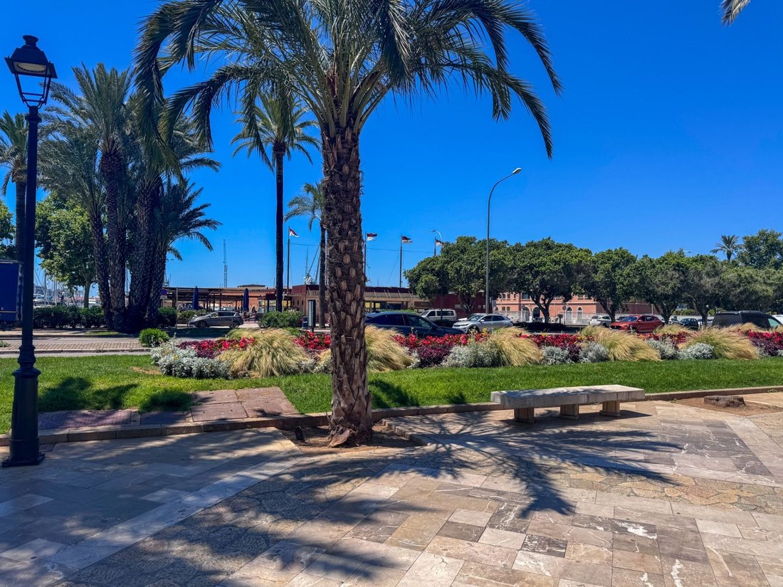 Apartment in Palma, Balearic Islands, Spain 3 - 17531624
