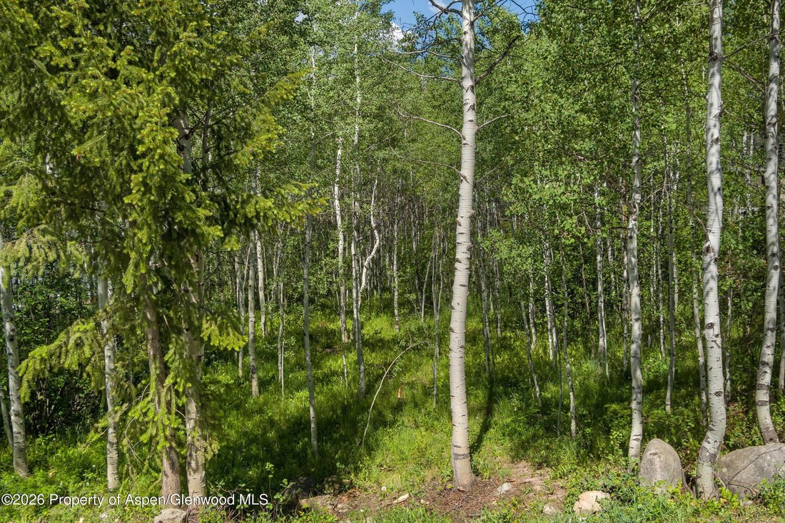 Land in Aspen, Colorado, United States 4 - 17531831