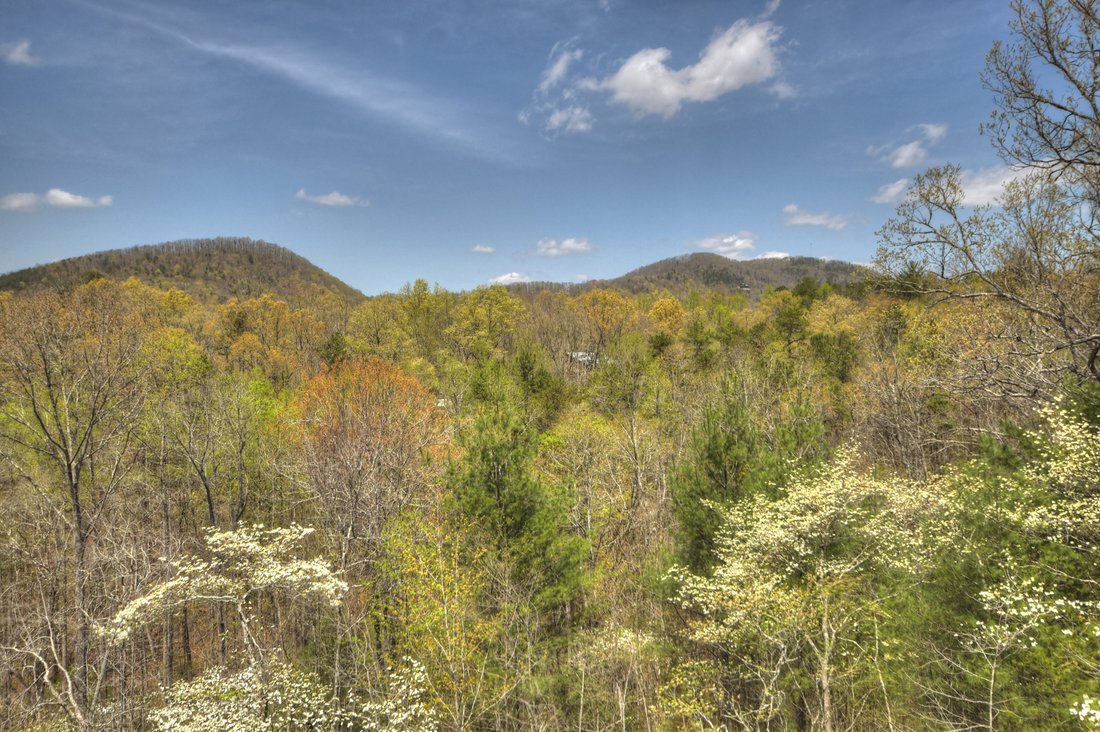 House in Mineral Bluff, Georgia, United States 2 - 17533118