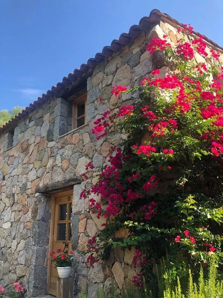 House in Sotta, Corsica, France 2 - 17311415