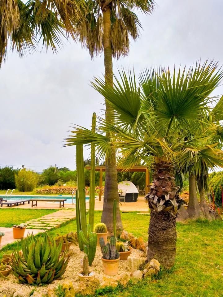 House in Santa Maria del Cami, Balearic Islands, Spain 4 - 17530832