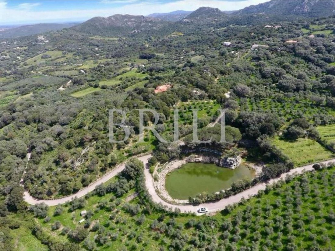 Estate in Palau, Sardinia, Italy 1 - 17533994